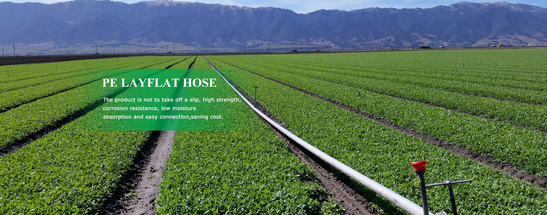 PE Layflat Hose