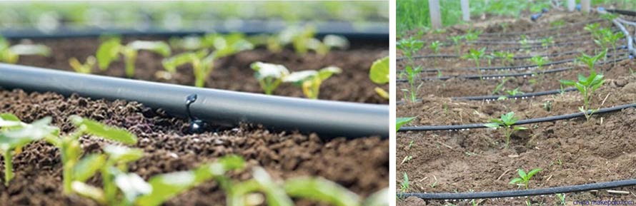 Embedded Drip Hose Irrigation Tape Convey Fertilizer Save Water